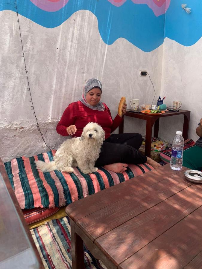 Dahab Tribe Guest House Dış mekan fotoğraf