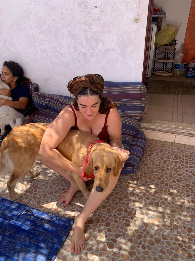 Dahab Tribe Guest House Dış mekan fotoğraf