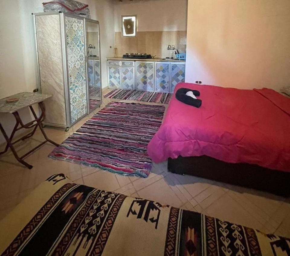 Dahab Tribe Guest House Dış mekan fotoğraf
