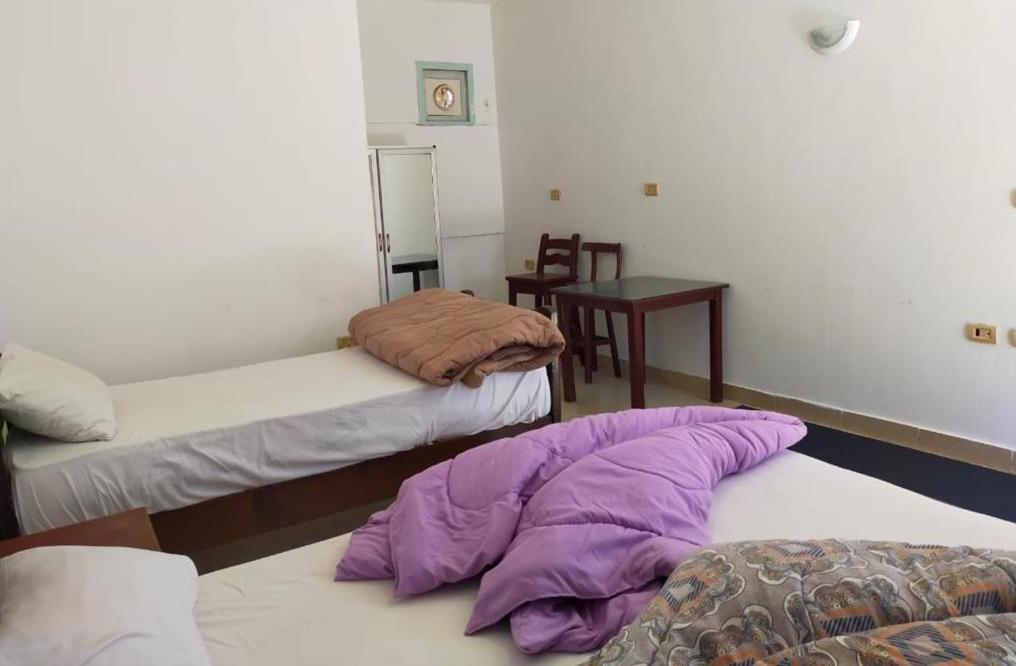 Dahab Tribe Guest House Dış mekan fotoğraf