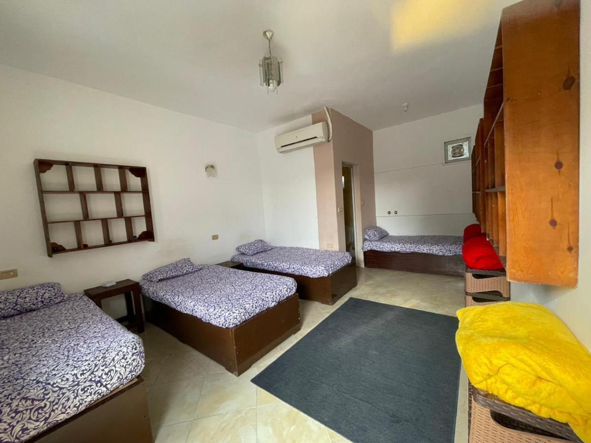 Dahab Tribe Guest House Dış mekan fotoğraf